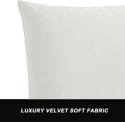 GIGIZAZA Decorative Couch Throw Pillow Covers,Set of 2 Rice Ivory White Square Pillow Cushion Covers 22x22,Pillow Cases Velvet Pillow Covers