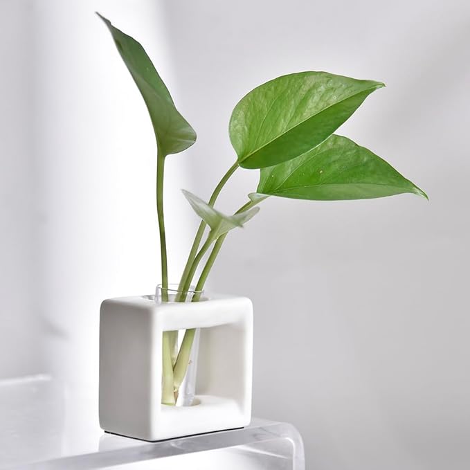 ORGJ Ceramic Propagation Station - 2-in-1 Water Propagation Vase & Aroma Diffuser for Plants, Geometric Propagation Tubes with Plant Rooting Containers, Modern White Decor