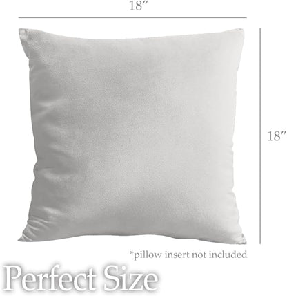 lalaLOOM Velvet Throw Pillow Covers, Set of 2, 18x18 Decorative Square Pillows Home Decor, Soft Accent Cases, Silky Machine Washable Pillowcases for Sofa, Couch, Bedroom, Living Room, Light Gray