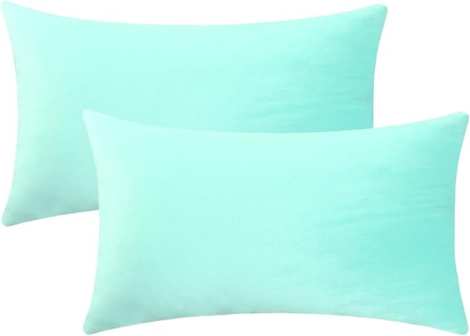 Jeneoo Comfy Soft Thick Velvet Throw Pillow Covers Decorative Solid Lumbar Couch Cushion Cases for Bedroom Car Decor (Mint Green, 12 x 20 Inches, 2 Pieces)
