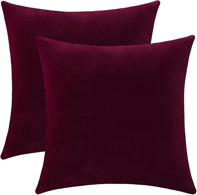 Jeneoo Set of 2 Comfy Soft Thick Velvet Throw Pillow Covers for Sofa Couch Decorative Solid Square Cushion Cases for Bedroom Car (14 x 14 Inches, Burgundy Red)