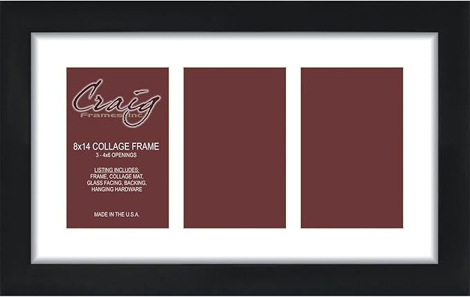 Craig Frames Contemporary, 8x14 Black Picture Frame with White Collage Mat, 3 Openings for 4x6 Prints