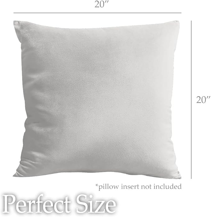 lalaLOOM Velvet Throw Pillow Covers, Set of 2, 20x20 Decorative Square Pillows Home Decor, Soft Accent Cases, Silky Machine Washable Pillowcases for Sofa, Couch, Bedroom, Living Room, Light Gray