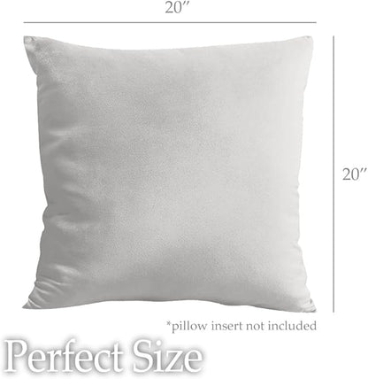 lalaLOOM Velvet Throw Pillow Covers, Set of 2, 20x20 Decorative Square Pillows Home Decor, Soft Accent Cases, Silky Machine Washable Pillowcases for Sofa, Couch, Bedroom, Living Room, Light Gray