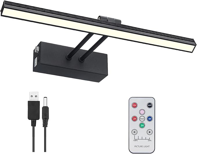 FUNCHDAY Picture Light,Battery Art Lights for Wall,Wireless Remote Painting Light with Timer and Dimmable,13”Metal Display Lighting for Artwork,Portrait,Gallery-Black