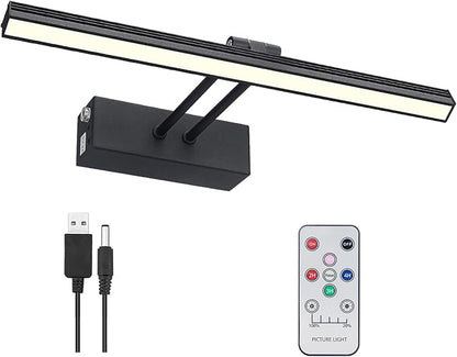 FUNCHDAY Picture Light,Battery Art Lights for Wall,Wireless Remote Painting Light with Timer and Dimmable,13”Metal Display Lighting for Artwork,Portrait,Gallery-Black