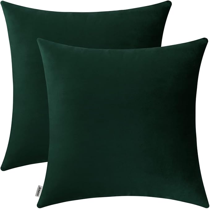 Jeneoo Set of 2 Comfy Accent Soft Velvet Throw Pillow Covers for Sofa Couch, Invisible Zipper Decorative Solid Square Cushion Cases for Livingroom Car (20 x 20 Inches, Army Green)