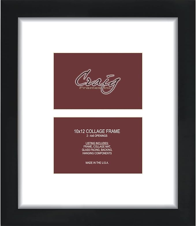 Craig Frames Contemporary, 10x12 Black Picture Frame with White Collage Mat, 2 Openings for 4x6 Prints