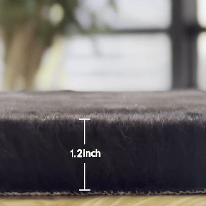 Faux Rabbit Fur Rug Machine Washable Area Rugs Black Fur Rug for Living Room Fuzzy Rugs for Bedroom Teen Room Decor Small Sheepskin 2x3 Rectangle Rugs