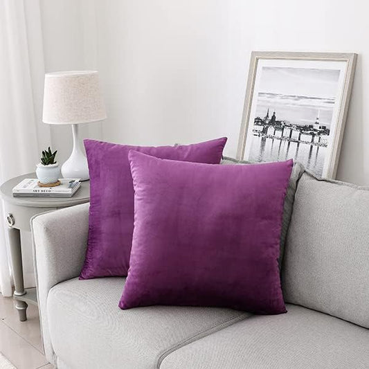 NiNi ALL Decorative Throw Pillow Covers Velvet 22x22 Inch Pack of 2 Purple Cushion Covers Soft for Couch Sofa Bedroom Living Room Outdoor