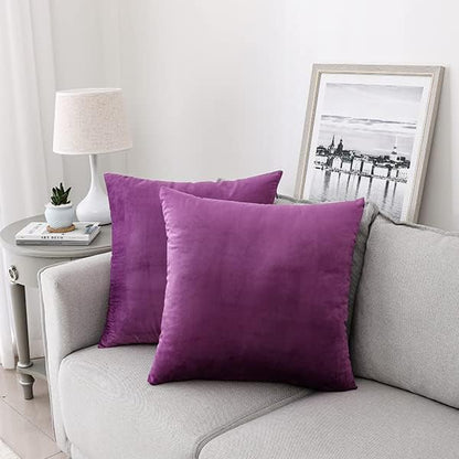NiNi ALL Decorative Throw Pillow Covers Velvet 24x24 Inch Pack of 2 Purple Cushion Covers Soft for Couch Sofa Bedroom Living Room Outdoor