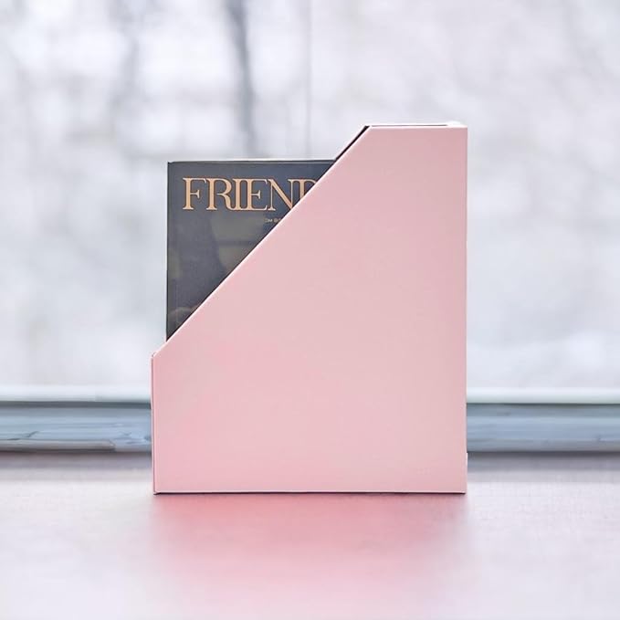 UnionBasic Magazine File Holder, Leatherette Desktop Document Organizer, Home Office Paper Holder File Storage Literature Sorter, Pink