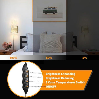 Plug in Wall Sconce Set of 2 - Small Gold Dimmable Bedroom Wall Light, Remote Control 6W LED 3000K-5000K Plug-in Wall Lamp with Timer, Acrylic Sconce Wall Lighting Bedside, Living Room, Bathroom