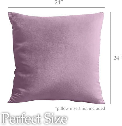 lalaLOOM Velvet Throw Pillow Covers, Set of 2, 24x24 Decorative Square Pillows Home Decor, Soft Accent Cases, Silky Machine Washable Pillowcases for Sofa, Couch, Bedroom, Living Room, Plum Purple