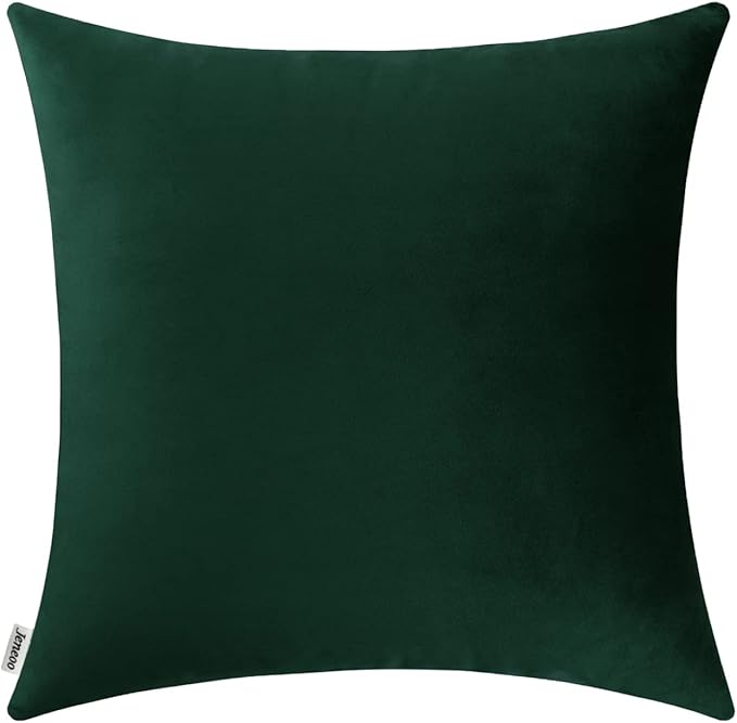 Jeneoo Set of 1 Comfy Accent Soft Velvet Throw Pillow Covers for Sofa Couch, Invisible Zipper Decorative Solid Square Cushion Cases for Livingroom Car (24 x 24 Inches, Army Green)