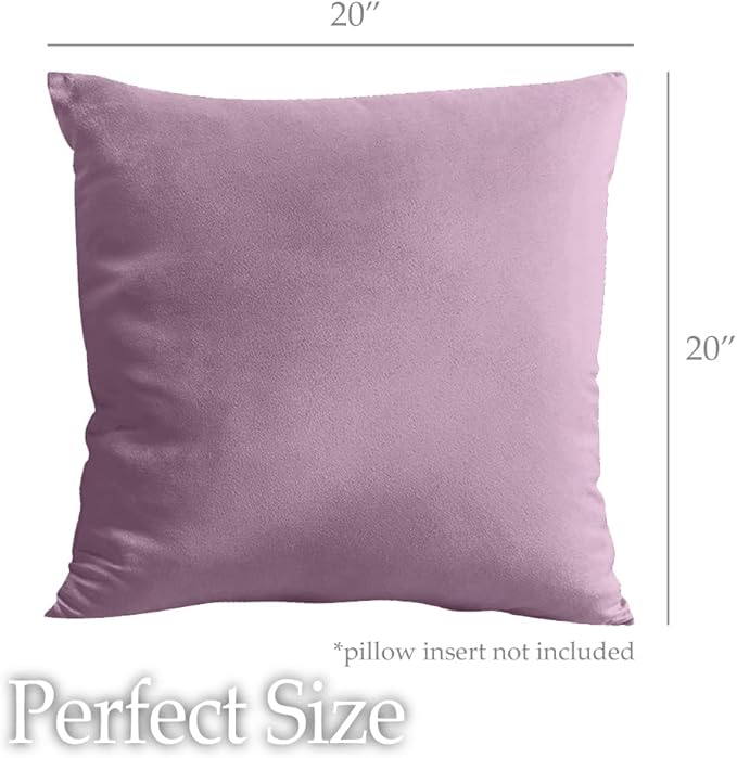 lalaLOOM Velvet Throw Pillow Covers, Set of 2, 20x20 Decorative Square Pillows Home Decor, Soft Accent Cases, Silky Machine Washable Pillowcases for Sofa, Couch, Bedroom, Living Room, Plum Purple