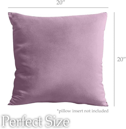 lalaLOOM Velvet Throw Pillow Covers, Set of 2, 20x20 Decorative Square Pillows Home Decor, Soft Accent Cases, Silky Machine Washable Pillowcases for Sofa, Couch, Bedroom, Living Room, Plum Purple