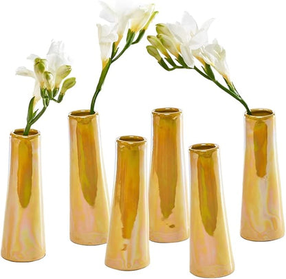 Chive - Set of 6 Galaxy, Small Cylinder Ceramic Bud Flower Vase, Unique Single Flower Decorative Floral Vase for Home Decor, Bulk (Yellow)