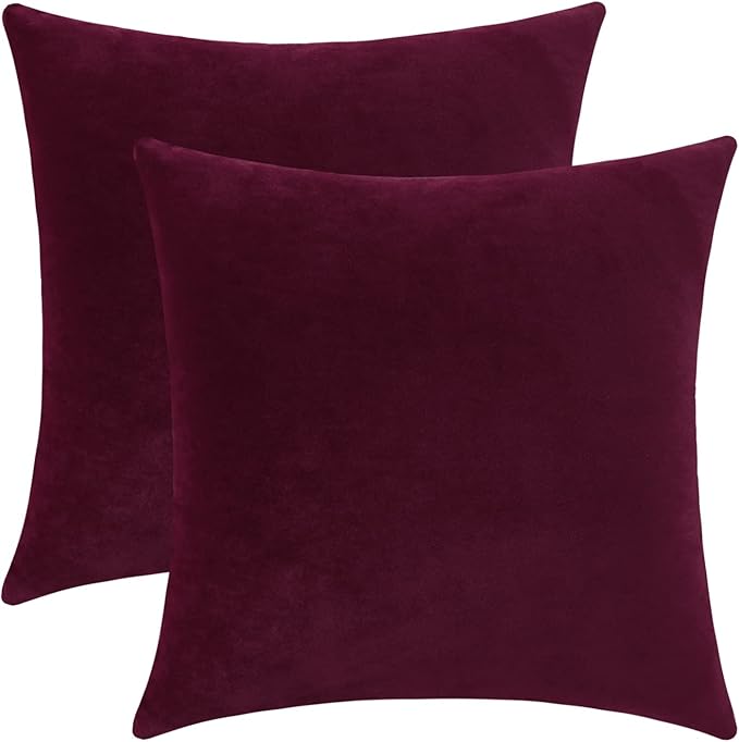 mixeoo Comfy Burgundy Red Throw Pillow Covers Decorative Square Solid Thick Velvet Super Soft Cushion Cases Home Decor for Sofa Couch Living Room Chair, Set of 2, 20 x 20 Inch