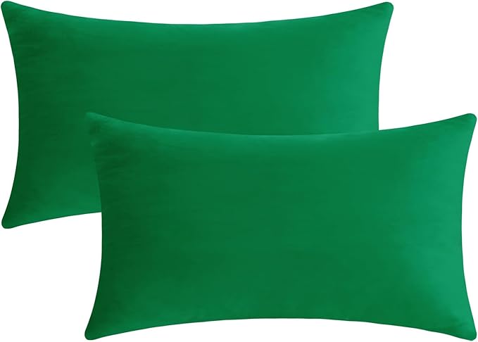 Jeneoo Set of 2 Decorative Throw Pillow Covers Soft Velvet Comfy Lumbar Couch Cushion Cases for Livingroom Bed Sofa Decor (Bright Green, 12 x 20 Inches)