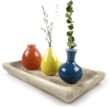 Ceramic Colorful Flower Vases for Home Desk Bookshelf Decoration,Modern Farmhouses Tabletop Small Vase,Set of 3
