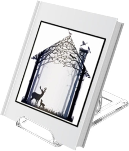 10 Pack Acrylic Book Stand for Display Adjustable Clear Display Holder Easel Collector Stand for Home Office Back to School Comic Album CD Magazine Postcard Artworks (4.2 x 4.3 x 2.35 Inch)