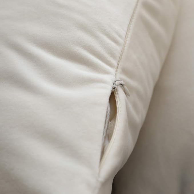 Set of 2 Comfortable Throw Pillow Cover for Bedding, Decorative Accent Cushion Sham Case for Couch Sofa, Soft Solid Velvet with Zipper Hidden - 14"x14", Ivory