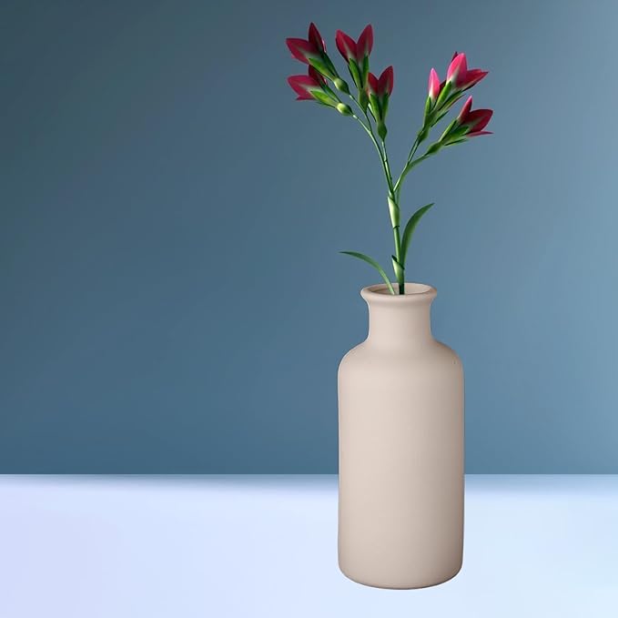 Ceramic Small Vase, Dry Flower Vases Minimalism Style for Modern Table Shelf Fit Fireplace Bedroom Kitchen Living Room Home Decor (White, Large)