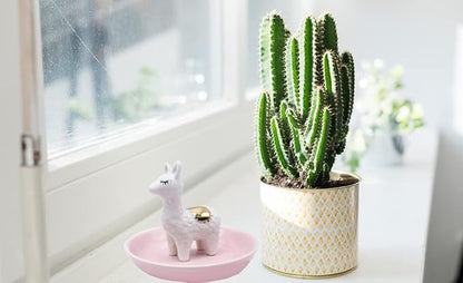 ROSA&ROSE Cat Ring Holder Trinket Tray Ceramic Jewelry Dish Porcelain Ring Organizer Gift for Women, Girlfriend or Valentine's Day (Multi)
