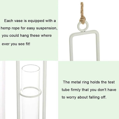 Sziqiqi Hanging Clear Glass Propagation Station Tube Vases for Cuttings, Buds, Greenery Hydroponic Plant Propagation Home Balcony Bath Wall Decoration Floral Container Set of 3 Ivory