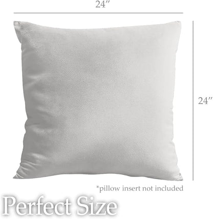 lalaLOOM Velvet Throw Pillow Covers, Set of 2, 24x24 Decorative Square Pillows Home Decor, Soft Accent Cases, Silky Machine Washable Pillowcases for Sofa, Couch, Bedroom, Living Room, Light Gray