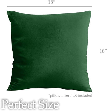 lalaLOOM Velvet Throw Pillow Covers, Set of 2, 18x18 Decorative Square Pillows Home Decor, Soft Accent Cases, Silky Machine Washable Pillowcases for Sofa, Couch, Bedroom, Living Room, Hunter Green