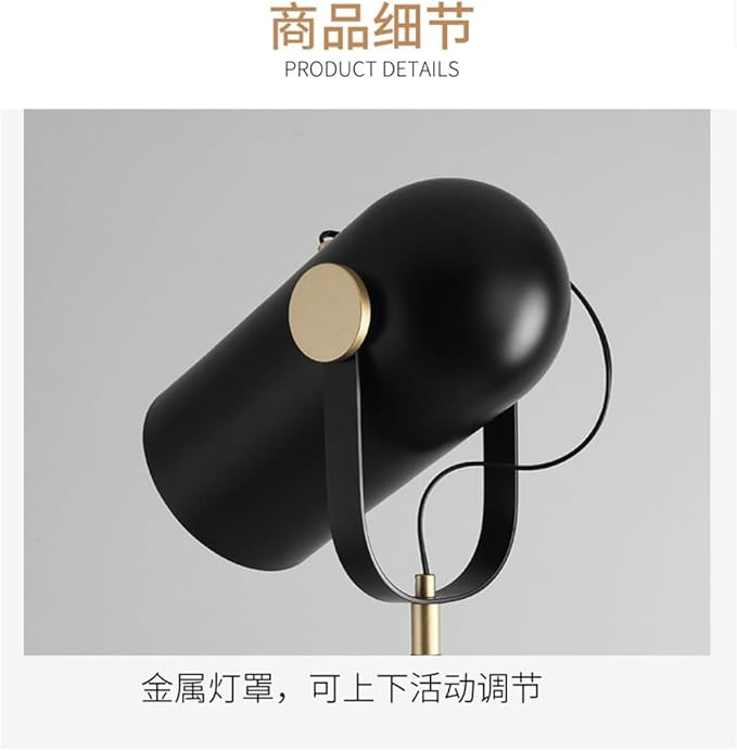 Nordic Modern Floor Lamp Fashion Luxury Family Iiving Room Bedroom Study Villa Hotel LED Creativity Decorative Standing Light (Style 103)
