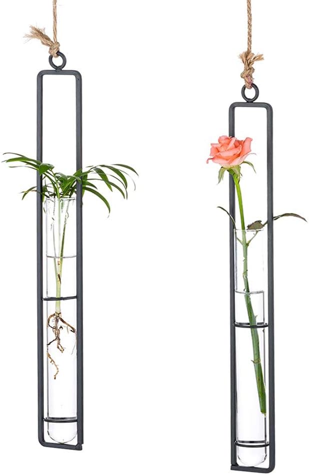 Sziqiqi Hanging Clear Glass Propagation Tube Vase for Cuttings, Hydroponic Plant Propagation Home Balcony Floral Container Wall Decoration Black 2ps (L+L)