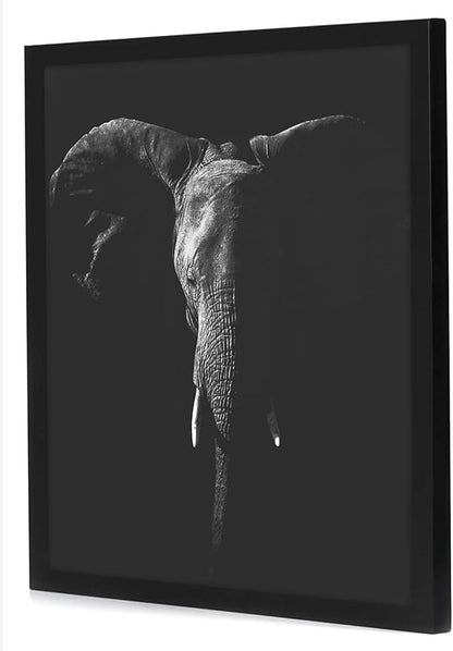Americanflat 20x20 Picture Frame with Polished Plexiglass - Epic Collection - Square Picture Frame with Engineered Wood - Wide Photo Frames for Wall display - Black