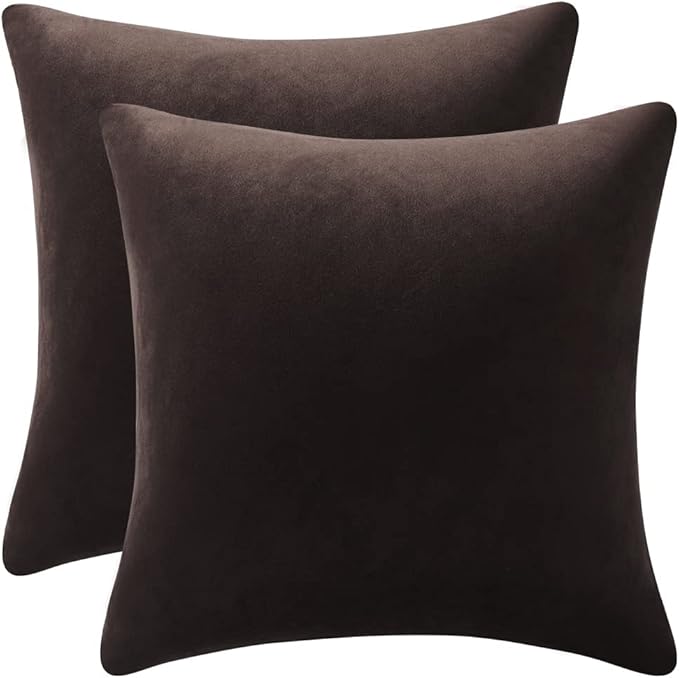 Decorative Pillow Cases 20x20 Chocolate Brown: 2 Pack Cozy Soft Velvet Square Throw Pillow Covers for Farmhouse Home Decor