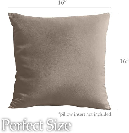 lalaLOOM Velvet Throw Pillow Covers, Set of 2 Decorative Square Pillows Home Decor, Soft Accent Cases, Silky Machine Washable Pillowcases for Sofa, Couch, Bedroom, Living Room, 16x16, Taupe