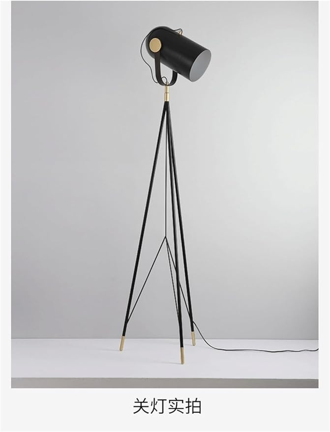 Nordic Modern Floor Lamp Fashion Luxury Family Iiving Room Bedroom Study Villa Hotel LED Creativity Decorative Standing Light (Style 103)