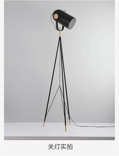 Nordic Modern Floor Lamp Fashion Luxury Family Iiving Room Bedroom Study Villa Hotel LED Creativity Decorative Standing Light (Style 103)