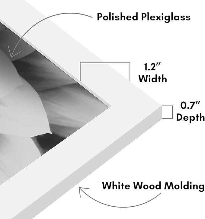 Americanflat 20x28 Picture Frame with Polished Plexiglass - White Picture Frame - Wide Photo Frames Made of Engineered Wood for Vertical or Horizontal Wall Display - Epic Collection - White