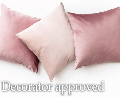 lalaLOOM Velvet Throw Pillow Covers, Set of 2, 24x24 Decorative Square Pillows Home Decor, Soft Accent Cases, Silky Machine Washable Pillowcases for Sofa, Couch, Bedroom, Living Room, Cream