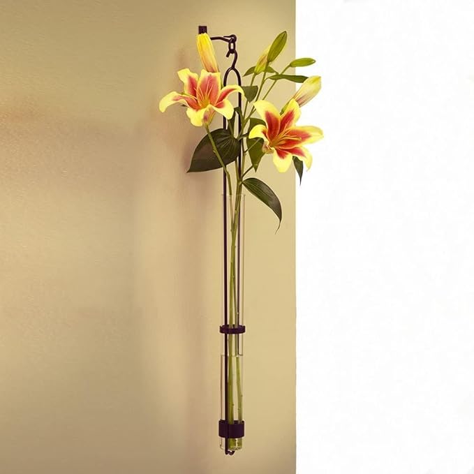 Couronne Company M046-001 Florence Hanger & Wall Hook, 31", Clear, 1 Piece