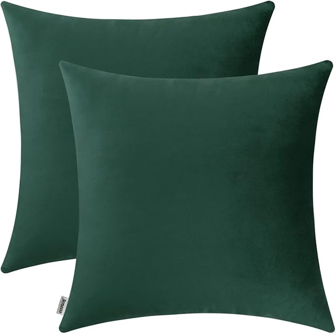 Jeneoo Comfy Decor Velvet Throw Pillow Covers for Home Sofa Livingroom Decorative Square Couch Cushion Cases(Hunter Green, 20 x 20 Inches, 2 Pieces)
