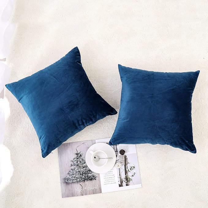 NiNi ALL Decorative Throw Pillow Covers Velvet 30x30 Inch Pack of 2 Blue Cushion Covers Soft for Couch Sofa Bedroom Living Room Outdoor