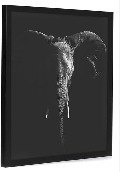 Americanflat 20x20 Picture Frame with Polished Plexiglass - Epic Collection - Square Picture Frame with Engineered Wood - Wide Photo Frames for Wall display - Black