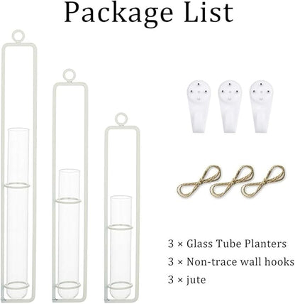 Sziqiqi Hanging Clear Glass Propagation Station Tube Vases for Cuttings, Buds, Greenery Hydroponic Plant Propagation Home Balcony Bath Wall Decoration Floral Container Set of 3 Ivory