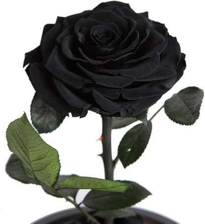 Preserved Roses Black Roses Handmade Real Rose in Glass Dome, Preserved Roses Never Withered Romantic Gifts for Her, Mother's Day, Birthday Gifts for Women (9 inch, Black)