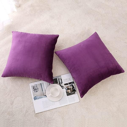 NiNi ALL Decorative Throw Pillow Covers Velvet 24x24 Inch Pack of 2 Purple Cushion Covers Soft for Couch Sofa Bedroom Living Room Outdoor