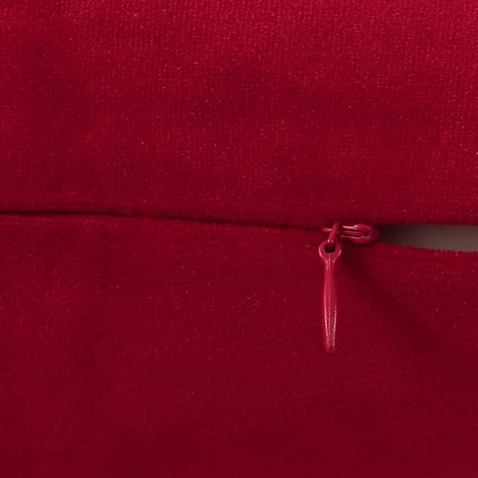 Jeneoo Set of 1 Comfy Accent Soft Velvet Throw Pillow Covers for Sofa Couch, Invisible Zipper Decorative Solid Square Cushion Cases for Livingroom Car (24 x 24 Inches, Santa Red)