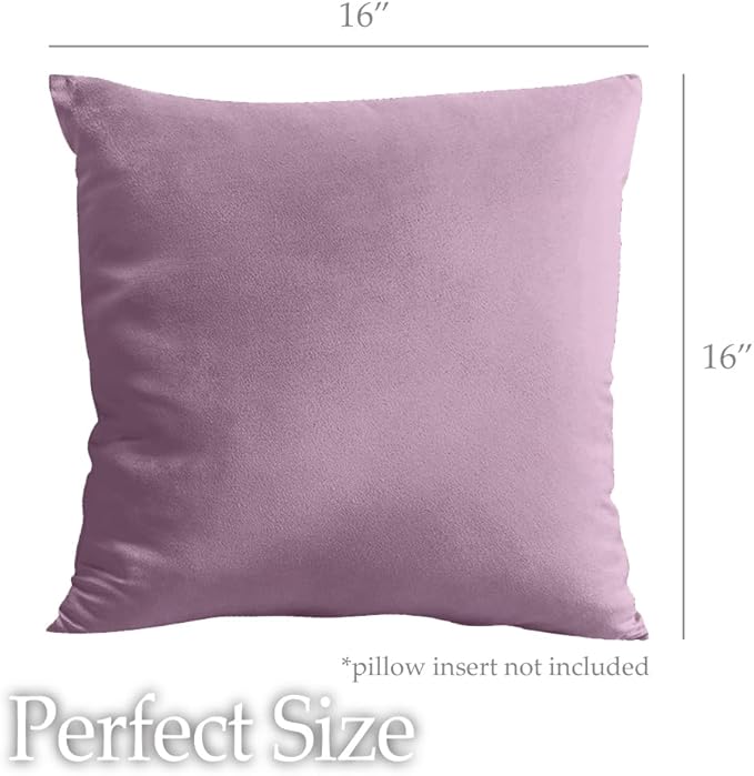 lalaLOOM Velvet Throw Pillow Covers, Set of 2 Decorative Square Pillows Home Decor, Soft Accent Cases, Silky Machine Washable Pillowcases for Sofa, Couch, Bedroom, Living Room, 16x16, Plum Purple